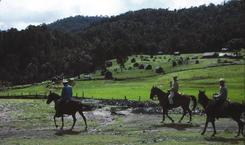 Men ride on horses through the green valley.