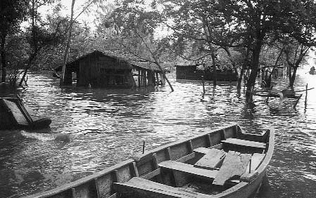 El huracán Mitch devastó gran parte de América Central, especialmente en áreas con deforestación extensa. Pero en el área de Los Chavalitos, donde se conserva la cubierta forestal, el daño por huracán fue mínimo.