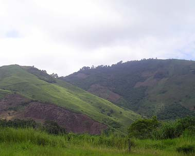 La deforestación en las colinas en el fondo de esta foto conduce a la erosión como se ve en primer plano.