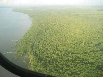 Bosques tropicales del oeste de Kalimantan vistos desde el aire Gran parte del viaje en Kalimantan se realiza por río en botes.