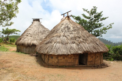 Casas hechas de bambú cortado con techos de paja.