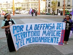 "Por la defensa del territorio mapuche y por el medio ambiente natural".