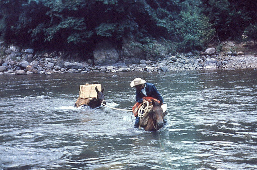 Transporte de vacunas a lomo de mula en la Sierra Madre a fines de la década de 1960. Se necesitaba una caja extra grande con hielo debido a la larga y difícil caminata hasta las aldeas distantes.