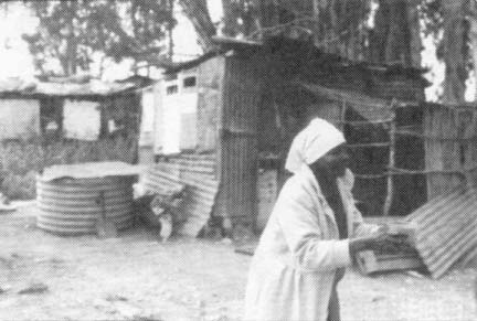 Tin shacks provide housing for thousands of squatters.