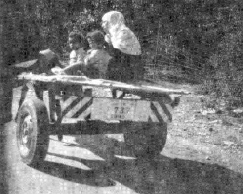 Garbage-collecting cart with license plate