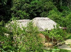 In rural areas many homes are made of adobe (mud bricks) and roofed with a thatch of palm leaves.