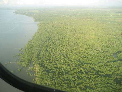 West Kalimantan rainforests as seen from the air