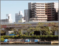 Shacks of sheet plastic, set up by homeless squatters along the shore of the Sumida River, in Tokyo.