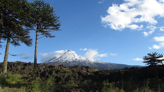 The Mapuches traditionally felt that they belonged to the land rather than it to them. They revered the primeval forest and glacier-covered volcanos as sacred sources of life.